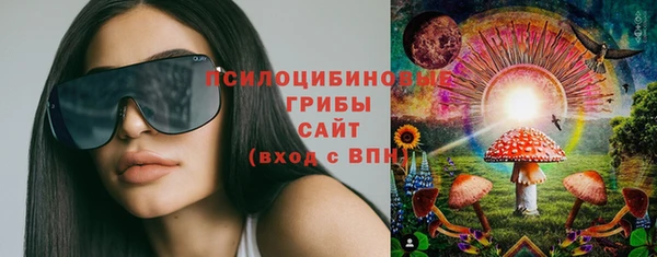 прущий лед Аркадак