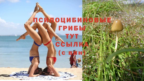кокс Балабаново