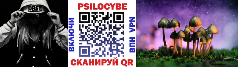Галлюциногенные грибы мицелий Сосновый Бор